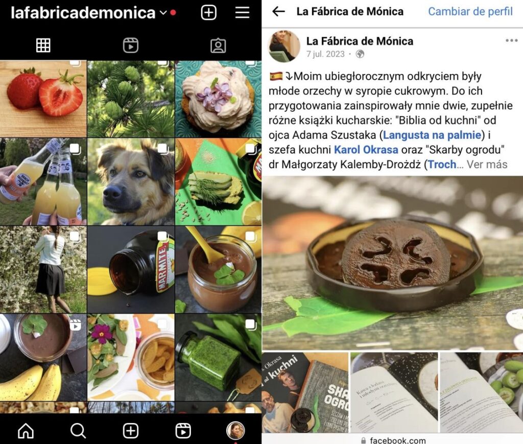 instagram facebook La Fábrica de Mónica