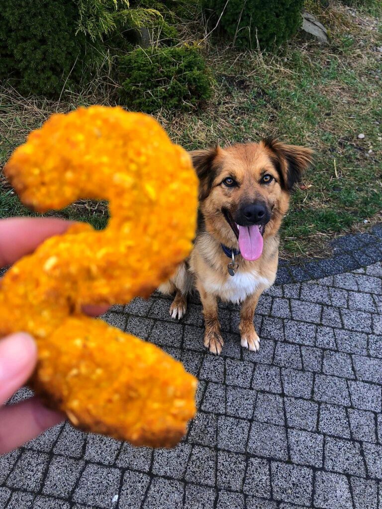 una pera y su galletas de calabaza