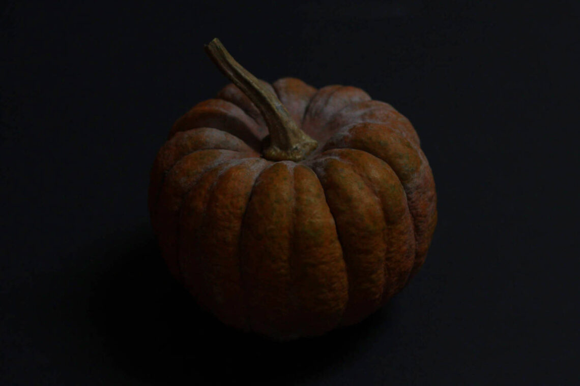 calabaza kurokawa